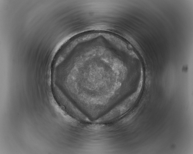 X0000112030939200908241535