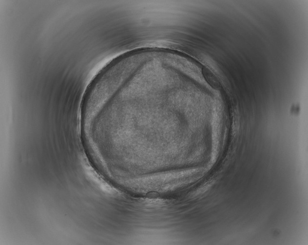 X0000112030940200908241535