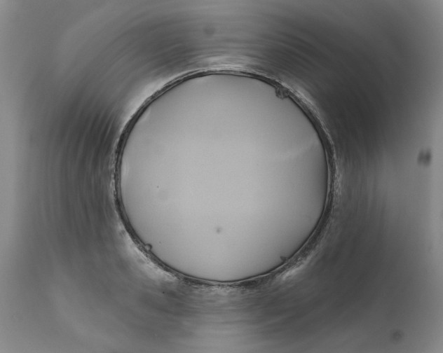 X0000112030941200908241535