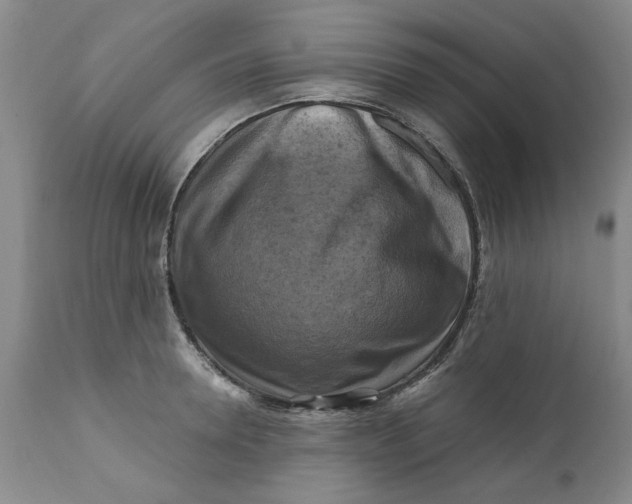 X0000112030946200908241535