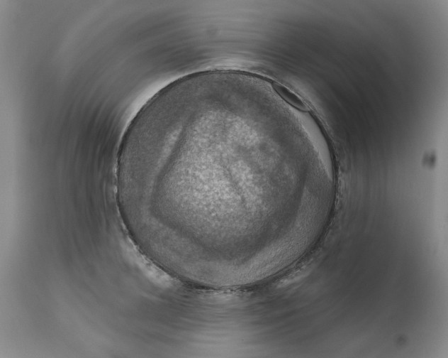 X0000112030948200908241535