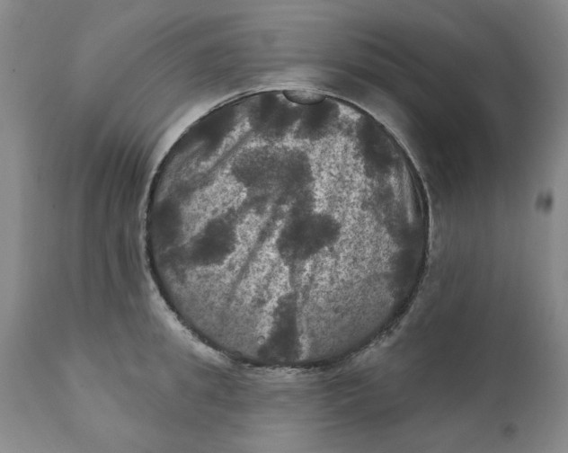 X0000112030949200908241535