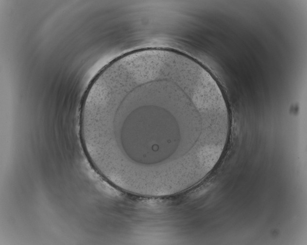 X0000112030950200908241535