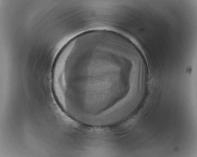 X0000112030951200908241535