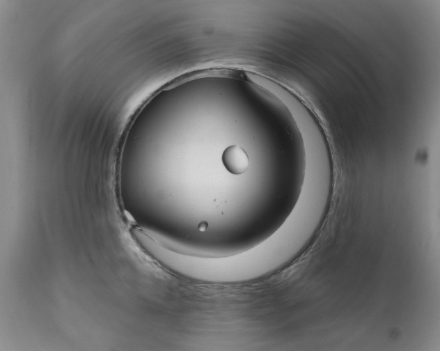 X0000112030952200908241535