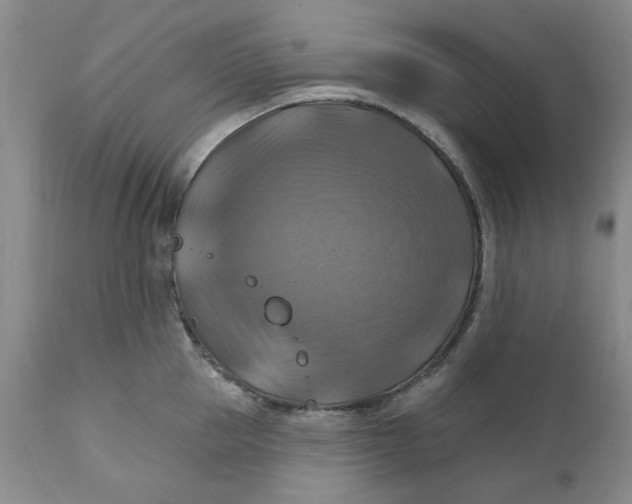 X0000112030953200908241535