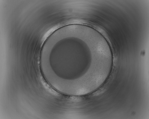 X0000112030954200908241535