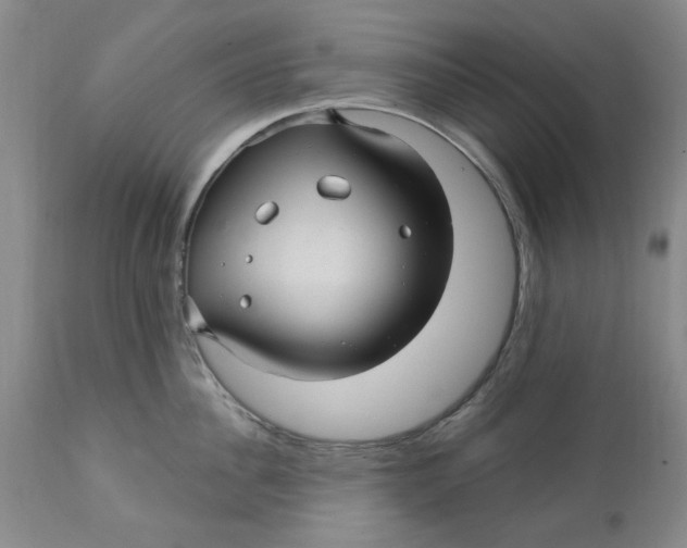 X0000112030956200908241535