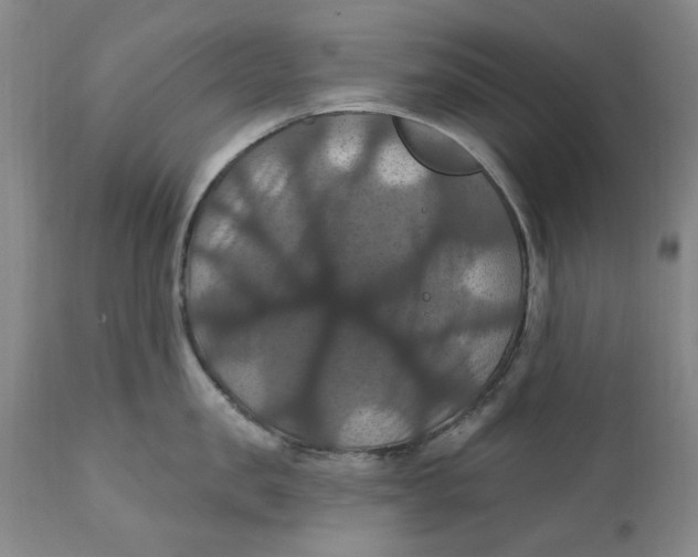 X0000112030957200908241535