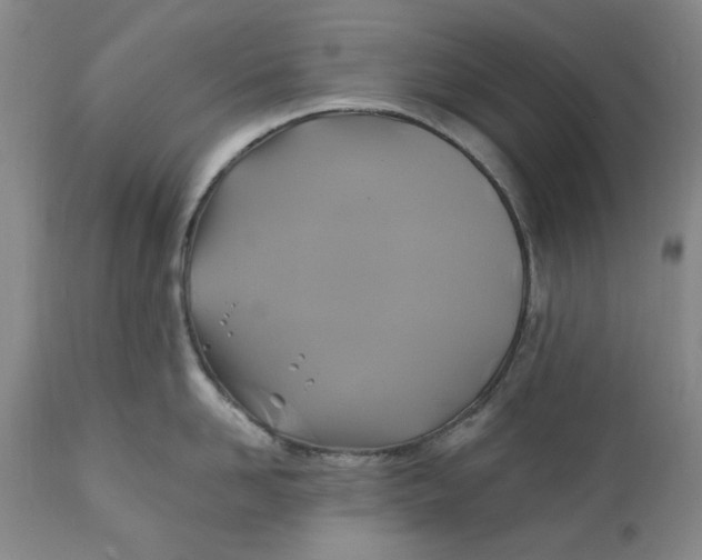 X0000112030958200908241535