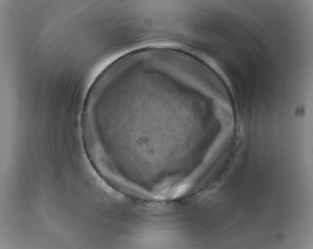 X0000112030959200908241535