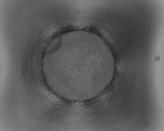 X0000112030961200908241534