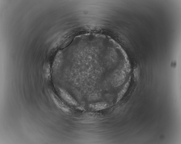 X0000112030963200908241534