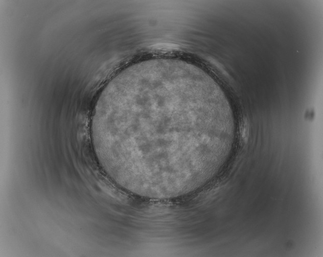 X0000112030964200908241534