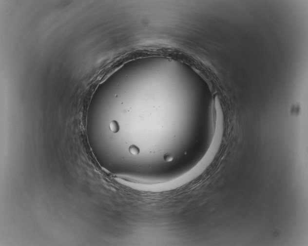 X0000112030965200908241534