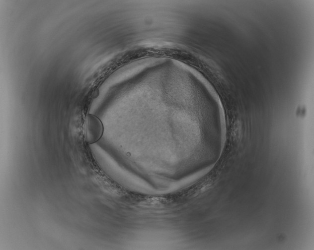 X0000112030966200908241534