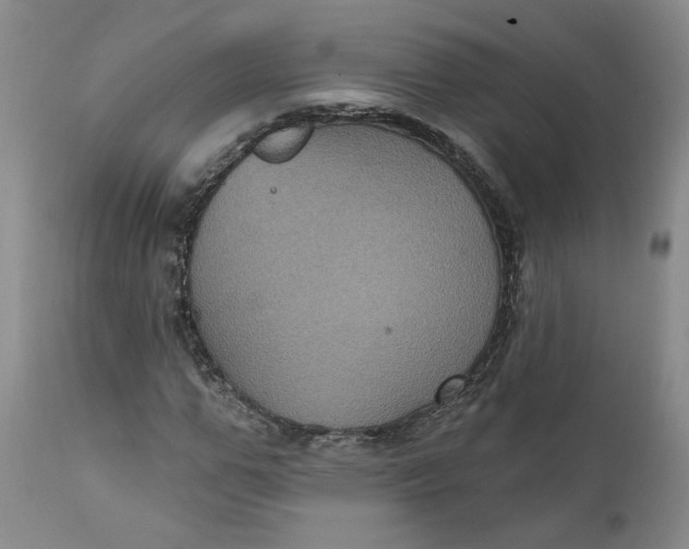 X0000112030967200908241534