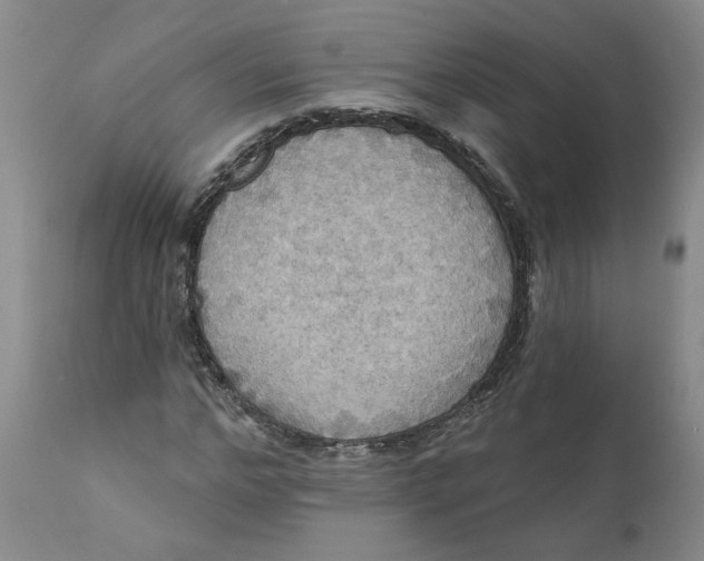 X0000112030968200908241534