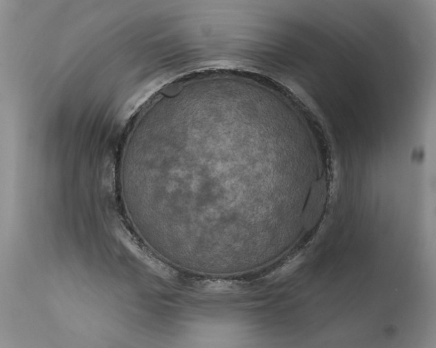 X0000112030969200908241534