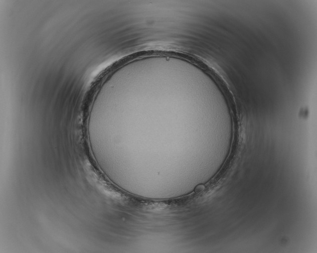 X0000112030971200908241534