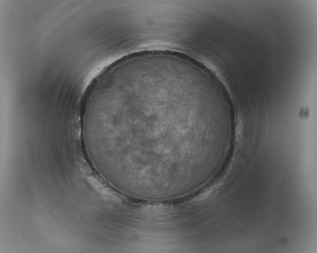 X0000112030973200908241534