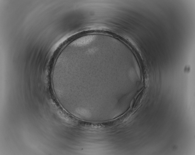 X0000112030975200908241534