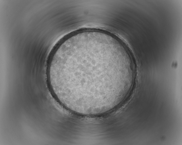 X0000112030976200908241534