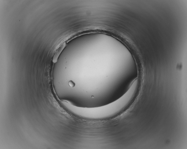 X0000112030977200908241534