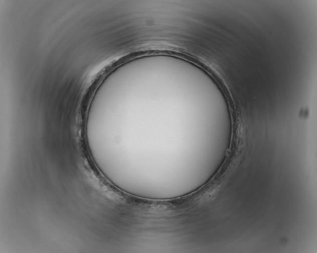 X0000112030979200908241534