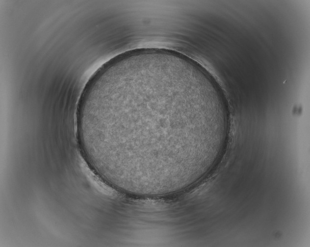 X0000112030980200908241534