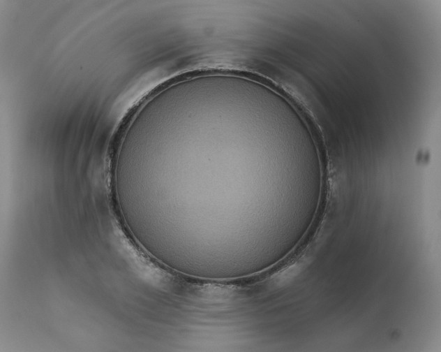 X0000112030981200908241534