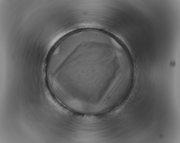 X0000112030983200908241534