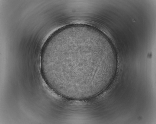 X0000112030984200908241534