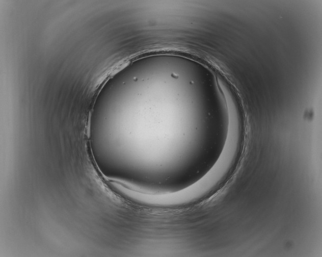 X0000112030985200908241534