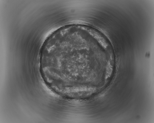 X0000112030987200908241534