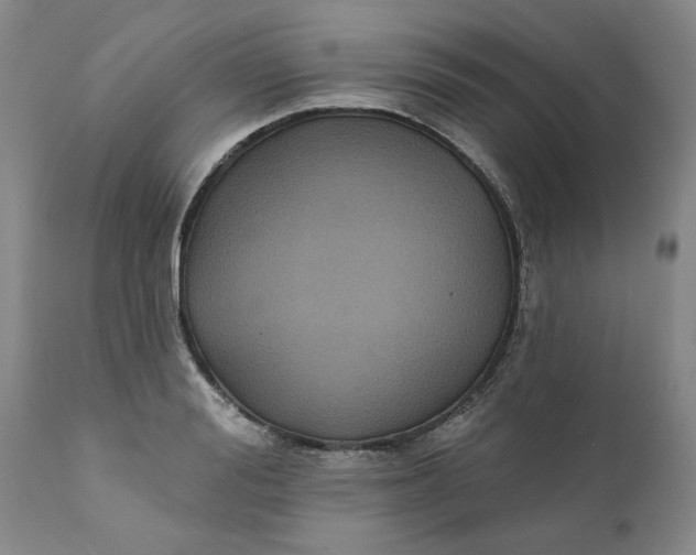 X0000112030988200908241534