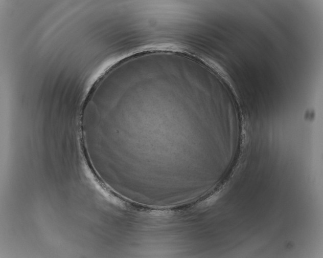 X0000112030989200908241534