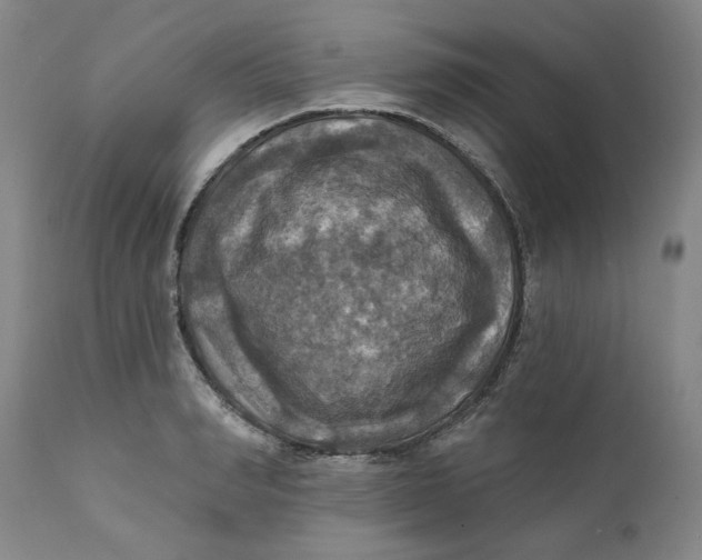 X0000112030990200908241534