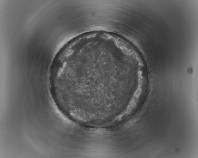 X0000112030991200908241534