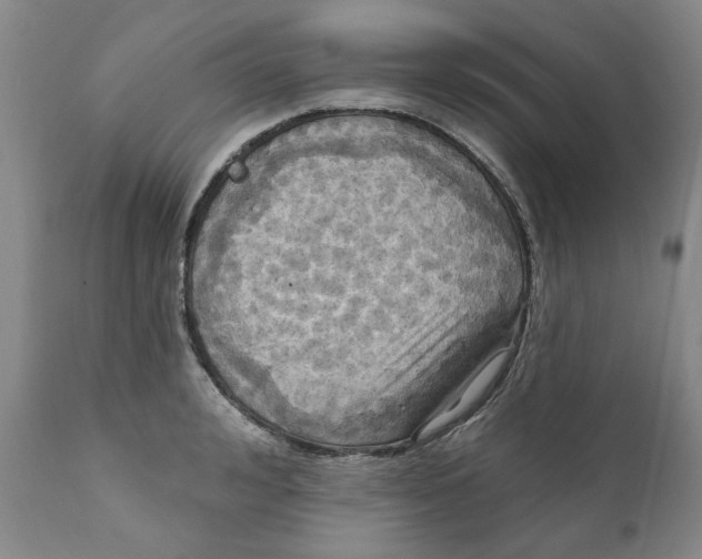 X0000112030992200908241534