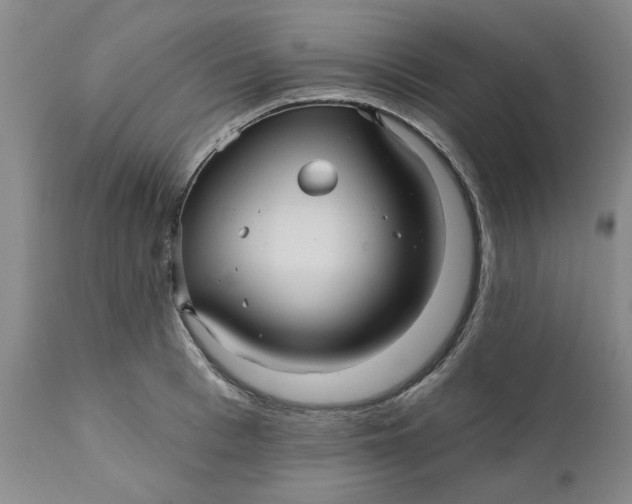 X0000112030993200908241534