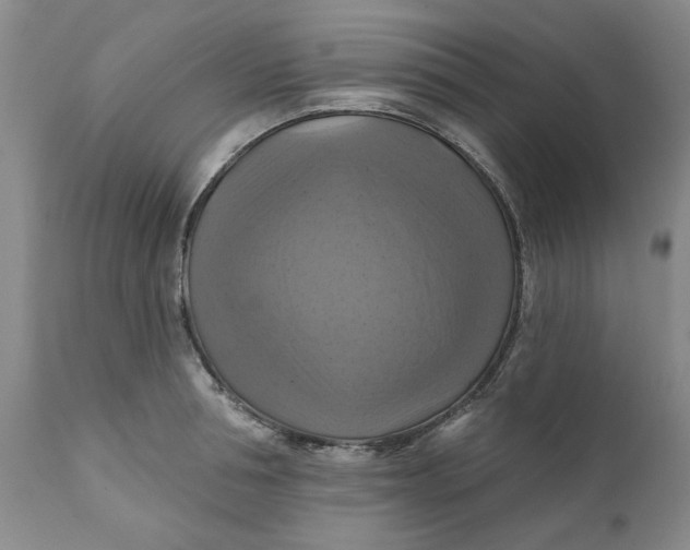 X0000112030994200908241534