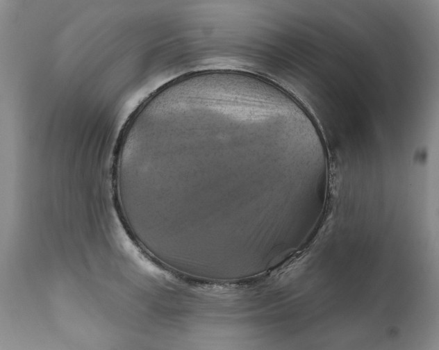 X0000112030995200908241534