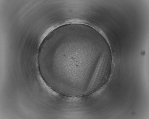 X0000112030997200908241534