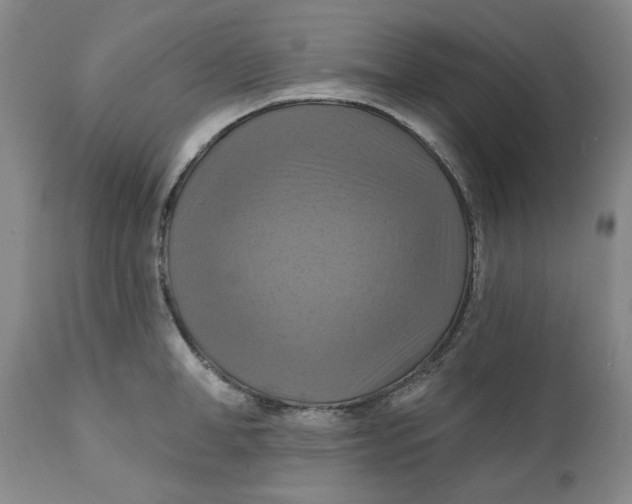 X0000112030998200908241534