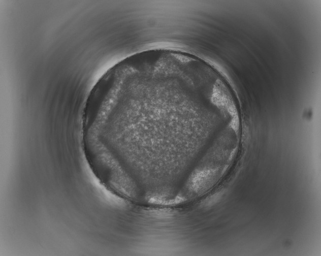 X0000112030999200908241534