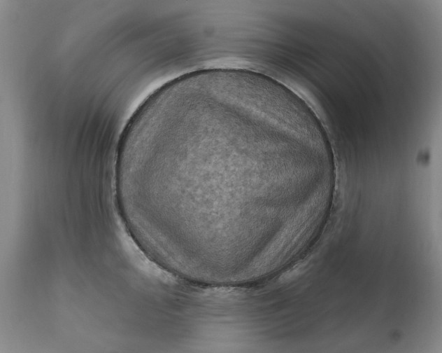 X0000112031000200908241534