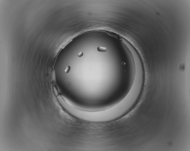 X0000112031001200908241534