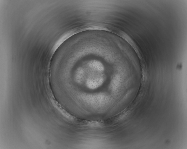 X0000112031002200908241534