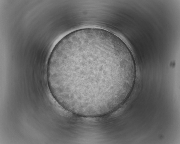 X0000112031004200908241534